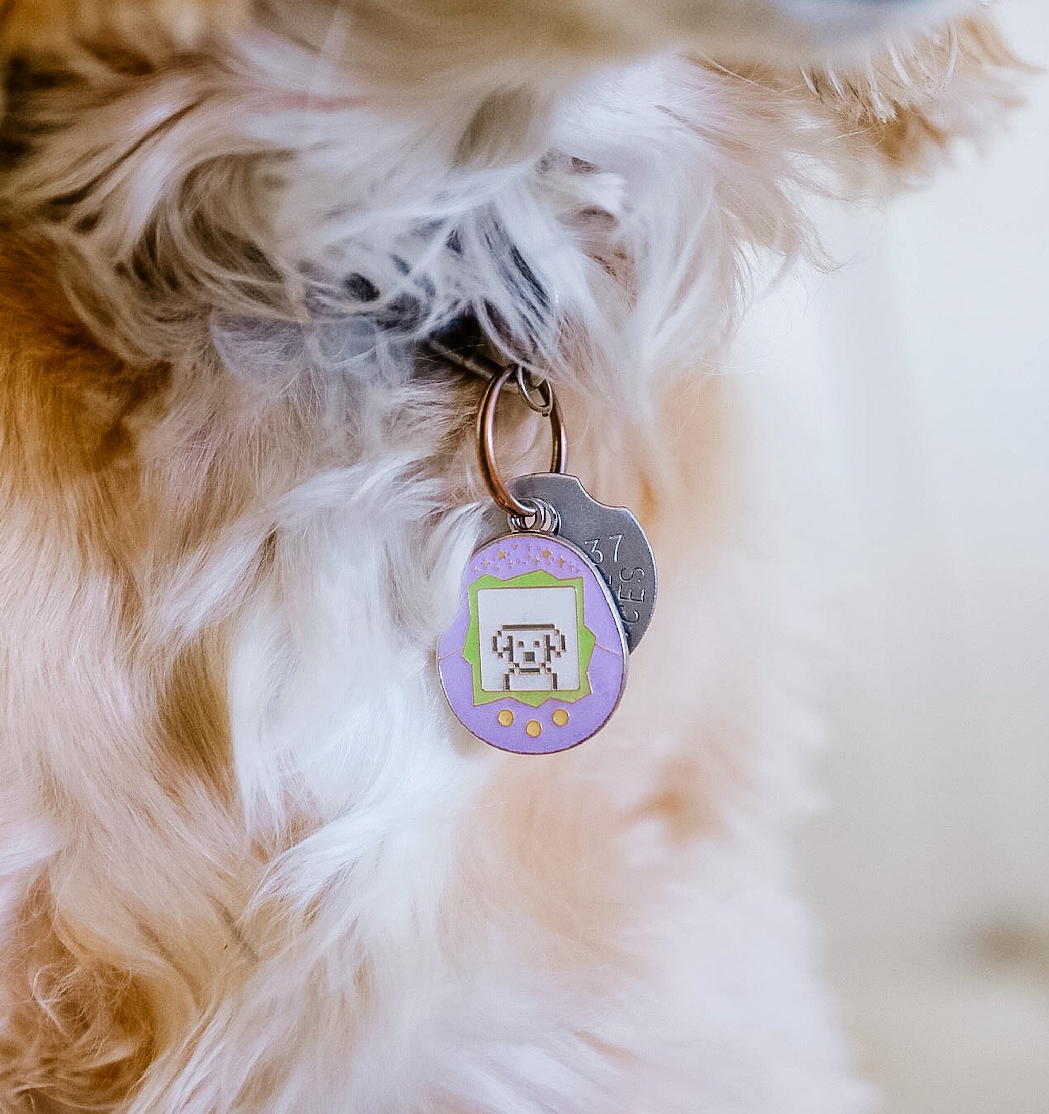 TAMAGOTCHI