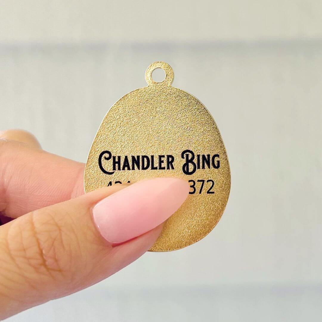 Enamel Durable Pet ID Collar Tag for dog cat puppy Free Laser Engraving personalization