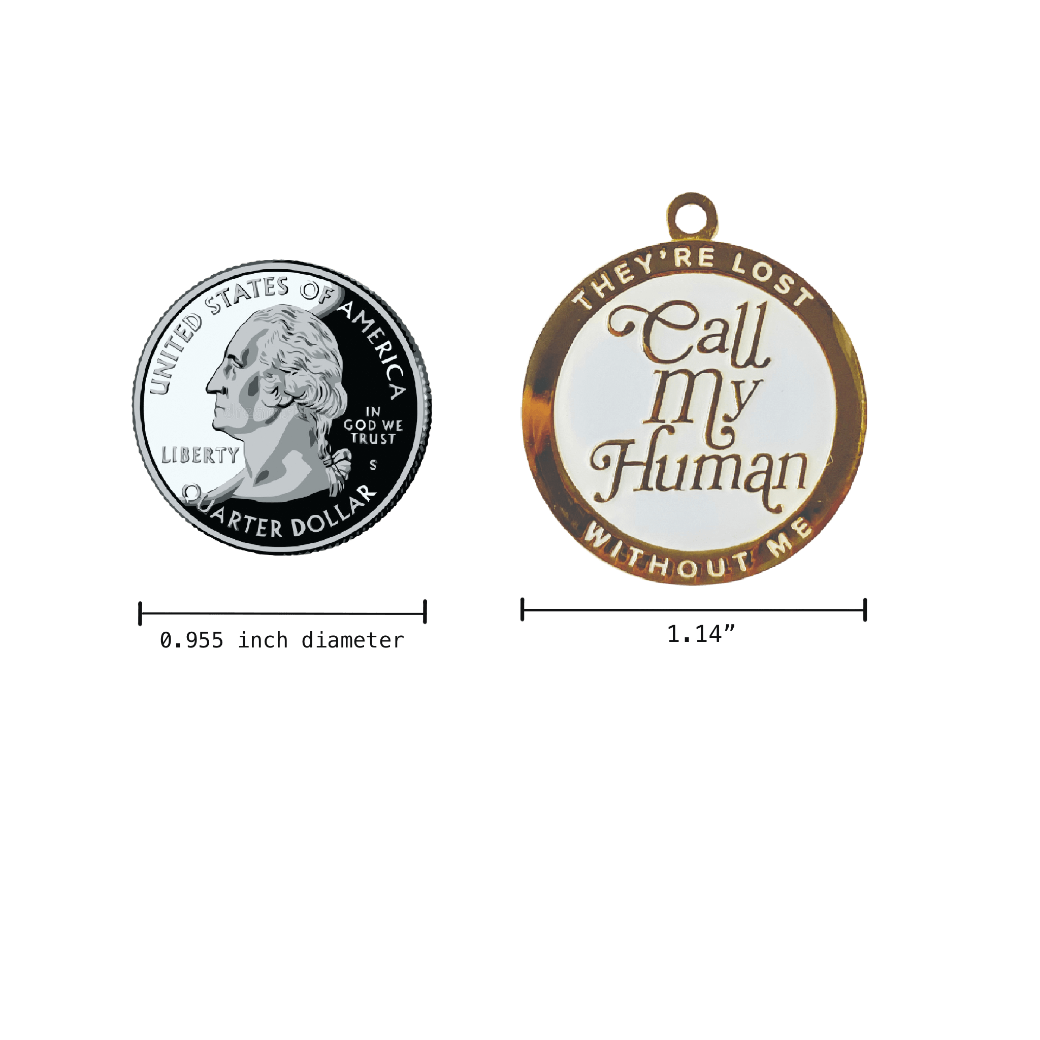 Call My Human They're Lost Without Me Lost Dog Enamel Pet Tag Measurements