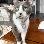 Load image into Gallery viewer, Kitty Cat wearing 90s nostalgia tamagotchi gigapet inspired Pet ID Collar tag
