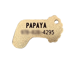 Christmas Holiday xmas stocking keychain dog cat pet tag with free laser engraving personalization