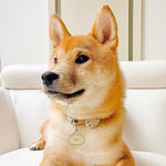 Load image into Gallery viewer, Shiba Inu wearing cute kawaii dumpling bao siopao dimsum dog cat pet ID tag
